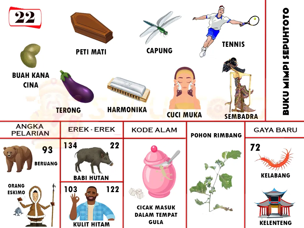 buku mimpi erek erek togel 22